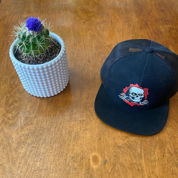 Powell-Peralta Ripper Snapback Hat - Picture 1 of 5